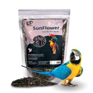 Bird Food Striped Sunflower Seeds